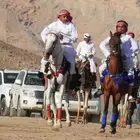 حصان للبيع الموقع البدع