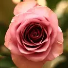 كانون 600D مع ملحقاتها