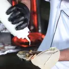 استيشن شاورما للجمعات والحفلات