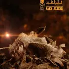عود كمبودي قديم