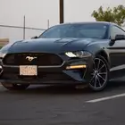 موستينق ايكوبوست