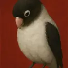 ب روز مفقود عثر عليه