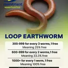 عرض خاص على دودة الارض لفترة محدودة