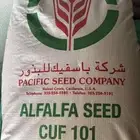 بذور باسفيك كاف 101