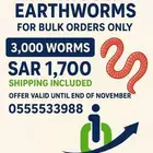 عرض خاص على دودة الارض لفترة محدودة