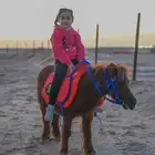 آجار سيسي صغير جدا