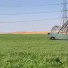مزرعه للبيع بساق البكيريه القصيم