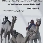 تبوك