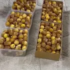 رطب فاخر نبوت سيف و سكري
