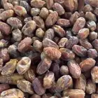 مزارع بيشه موقع التمور