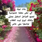 معلمة خصوصية تبوك