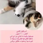 ام وكتن للتبني