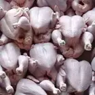 دجاج للاحم