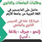 معلم لغة عربية للجامعات ومدرب للرخصة المهنية للمعلمين