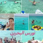 رحله صيد رحله بياضه رحله بحريه رحله نزهه داخل شرم أبحر