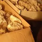 عنبر ابيض نخب اول
