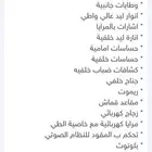 فورشنر بنزين GX