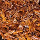 بخور شاف سوداني