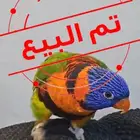 لوري ريد كولار متكلم