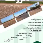 مزرعه للبيع - حائل