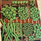 تمديدات سباكة داخليه