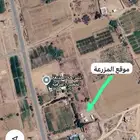 مزرعة للايجار