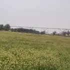 للبيع رشاش وطني برج واحد نظيف