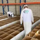 تجهيز سلال غذائية (سلال رمضانية) للأوقاف والجمعيات الخيرية