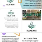 خلي حفلتك خضراء ومزهرة مع مشاتل وردة المنزل