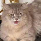 القنفذة حي البرج