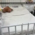 سراير 4 حديد