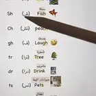 معلمة تأسيس مصريه لكل المواد