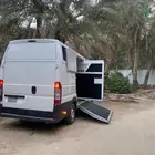 نقل خيل داخل وخارج المملكه
