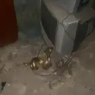 تحفه قديمه