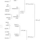 حصان مكس دم فاخر