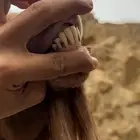 تيس ادهم للبيع