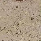 تربة زراعية