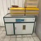 فقاسات بحجم كبير نظيف جدا للبيع .