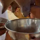 خلفه مصغر تحلب سطل