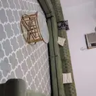 الليث