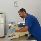 عيادة طوارئ طبية بيطرية بالرياض