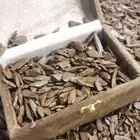 دقة عود محسن مروكي
