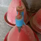 سقايات واكالات