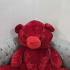 دب احمر كبير