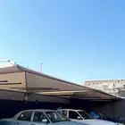 جلي جنوط فالاحساء