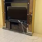 نملية تلفزيون