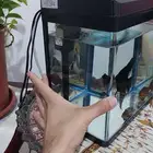 حوض سمك شبه جديد