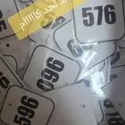 بط بلدى