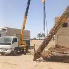نقوم بتوريد انخيل