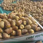 نخل للبيع مثمر نخل القصيم نخيل اسعار معقوله
